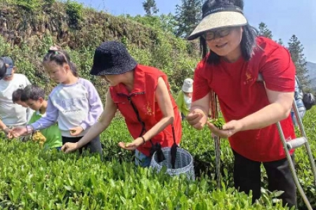 “全国文明家庭”罗文英：没有人富得不需要别人的帮助，也没有人