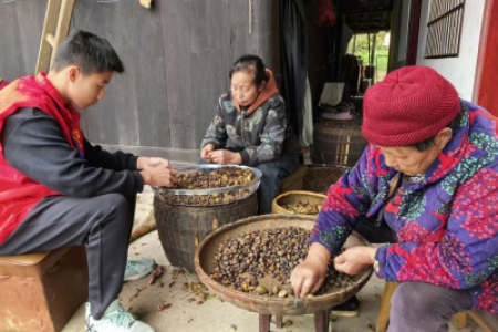 重阳暖桑榆！—怀化四中 2411 班雷锋青少年守护老人微心愿