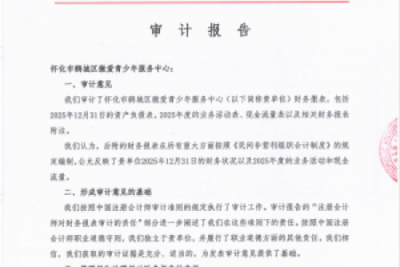 怀化市鹤城区微爱青少年2025年审计报告