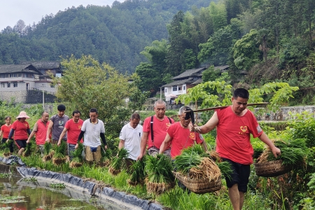 520，爱在田野间播撒希望